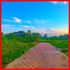 Dijual Tanah Pekarangan View Merapi Kaliurang Jogja