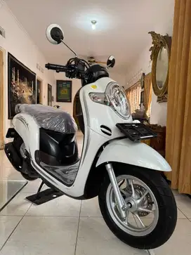Honda Scoopy 2019 Low KM