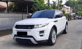 Evoque Dynamic Lux. 2014/13 Putih