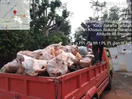 Jasa angkut puing dan tanah