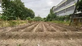 Jual Cepat Tanah di Jalan Raya Made Surabaya