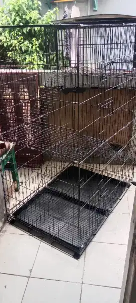 Kandang kucing tingkat jumbo