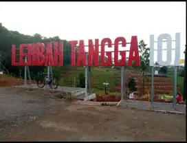 DI JUAL TANAH KEBUN SEGERA