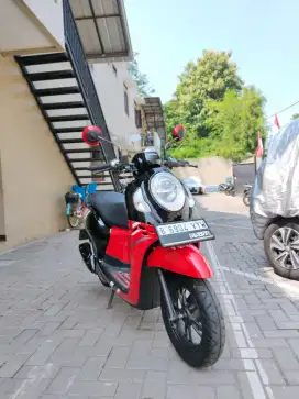 Scoopy Sporty 2023
