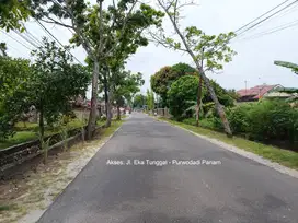 Jl. Purwodadi - Panam Dekat, Tanah Dijual: SHM