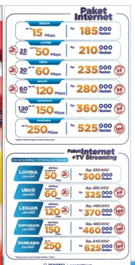 INTERNET BALIFIBER