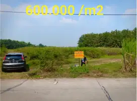 Tanah cocok utk di kavling perumahan atau buat Industri