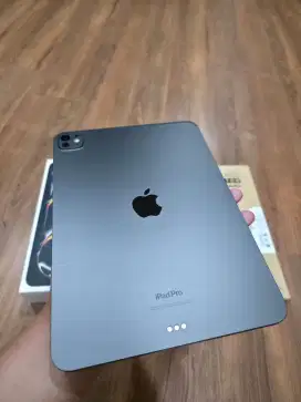 IPAD PRO M4 11INCH WIFI SPACE BLACK 256GB LIKE NEW GARANSI INTER 2 BLN