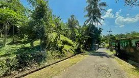 Tanah Kebun 1100 m2 Lokasi Strategis Wanayasa Purwakarta Dijual Murah