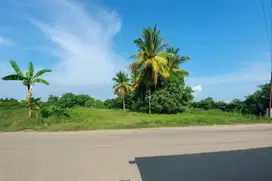 Tanah Plaju dekat Kampus UMP Palembang