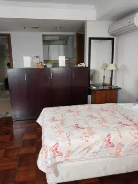 Disewakan Apartment 1 BR Bagus Furnished Park Royal Bendungan Hilir