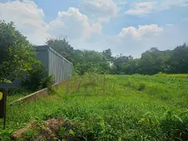 Dijual 2 Petak Sawah di Purwomartani Kalasan