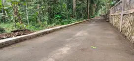 BELI TANAH LUAS 2360M FREE 30 POHON DURIAN COCOK UNTUK PERKEBUNAN