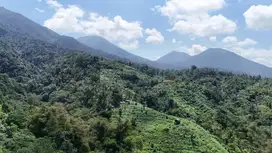 Jual tanah kebun isi mata air view cantik harga termurah di tabanan .