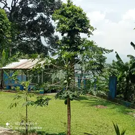 Dijual 4000 m2 AJB Di Lebak Pari