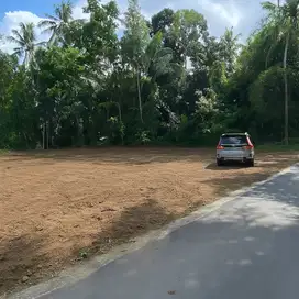 Tanah Luas Kecil Harga Murah, di Jalan Magelang