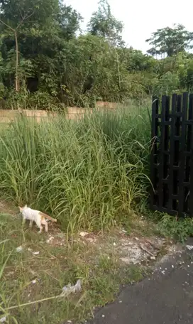 Jual tanah kapling di Tangerang selatan