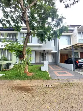 Rumah Semi Furnished Di Sewakan Di Sektor 9  7128