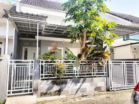 Disewakan Rumah Furnish Lokasi di Suhat, Lowokwaru Malang