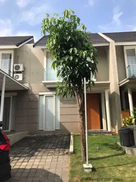 Sewa Rumah 2 Lantai Di Citragrand Sambiroto Tembalang Semarang