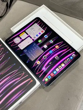 iPad Pro M2 11” 256GB Gray Wifi + Cell ex iBox
