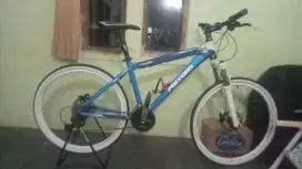 Dijual sepeda MTB Polygon cozmic
