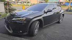 Lexus UX300e 2022 Listrik