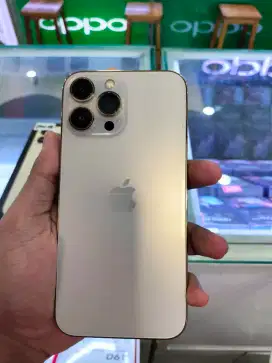 iphone 13 promax 256
