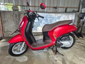2024 Honda Scoopy Solo
