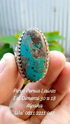 PIRUS PERSIA LAWASAN DIMENSI 30