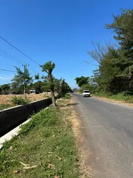 dijual tanah 3hektar pinggir jalan raya
