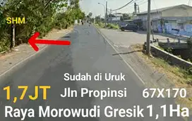 Tanah di Cerme Gresik