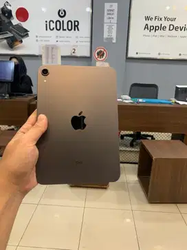 MINUS IPAD MINI 6 WIFI 256 GB