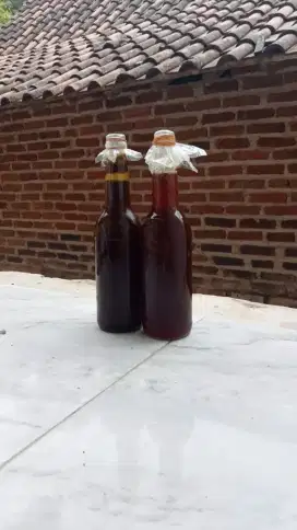 Madu liar hutan
