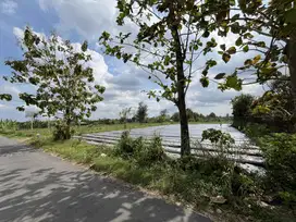 Jakal km 12, Area Villa dan Restoran, View Sawah