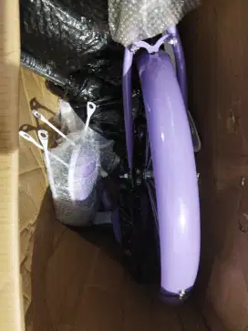 Sepeda Pacific perempuan warna ungu