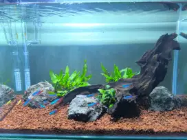 1 set aquarium , aquarium+filtergantung+lampu+ikanneon+udangwarnawarni