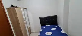 Disewakan Apartemen Green Park View 2 Kamar Tidur Termurah 250 Juta