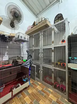 Kandang kucing aluminium
