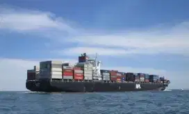 Di Butuhkan ABK di kapal Ikan dan Cumi kuota Terbatas