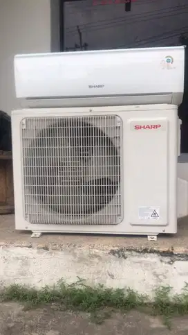 sharp 1/2pk 1pk