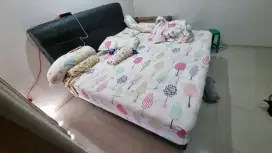 DIPAN KASUR LADY AMERICANA