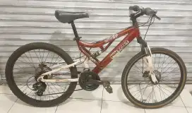 MTB Polygon Heron 24