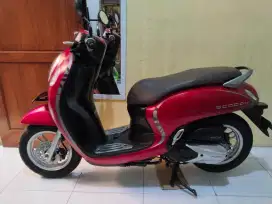 Honda scoopy keyless tahun 2021
Merah doff