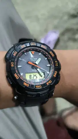Jam Casio Protrex  ori