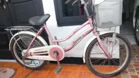 Sepeda minion beauty size 20 inch