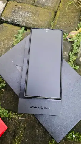 Samsung galaxy S22 ultra 12/256 gb