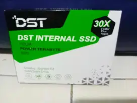 SSD 256Gb Baru merk DST Korea technology