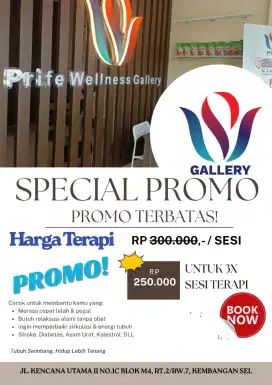 prife wellness gallery puri