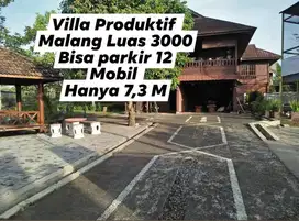 Jual Rumah Villa Aktif Tanah Luas Dau Malang